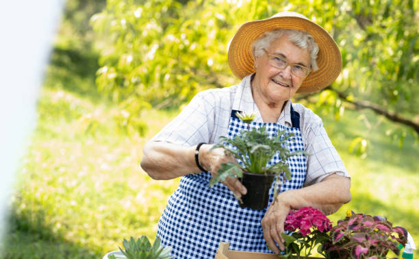 istock Cute senior woman gathering sapling plant 1207110929