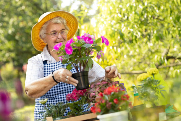istock Happy grandmother gardening 1207111027