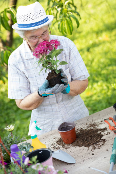 istock My flower is blooming 1207111262