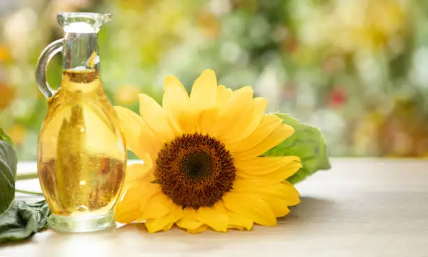 Photo of vegetable oils the oldest beauty care product