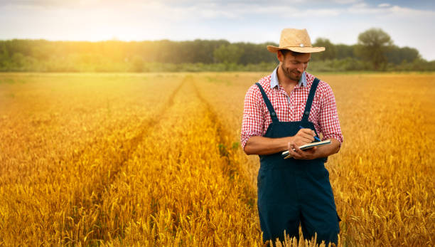 istock Farmer in field controlling quality of wheat 1207111620