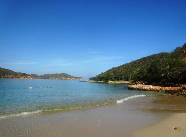 istock Mochima National Park Beach, Venezuela 1207112962