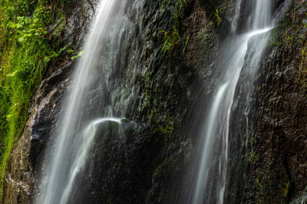 istock Howald waterfall in the vosges 1207115278