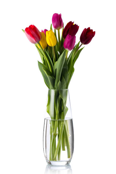istock Tulips in a glass vase. 1207118659