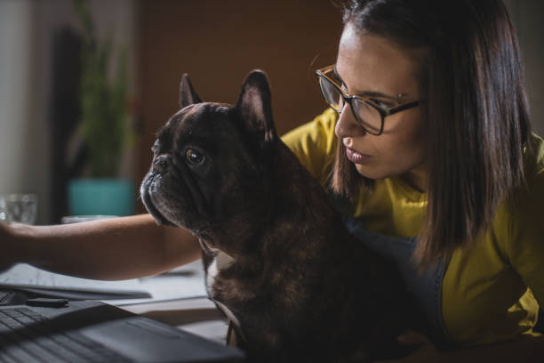 istock Young woman studying at home 1207118934