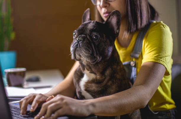 istock Young woman studying at home 1207118944