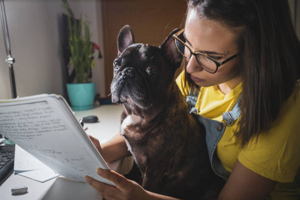 istock Young woman studying at home 1207118953