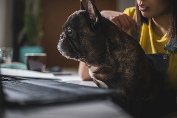 istock Young woman studying at home 1207119892