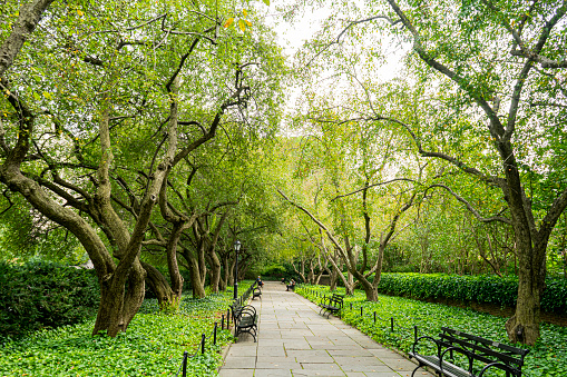 A macadam footpath in a park