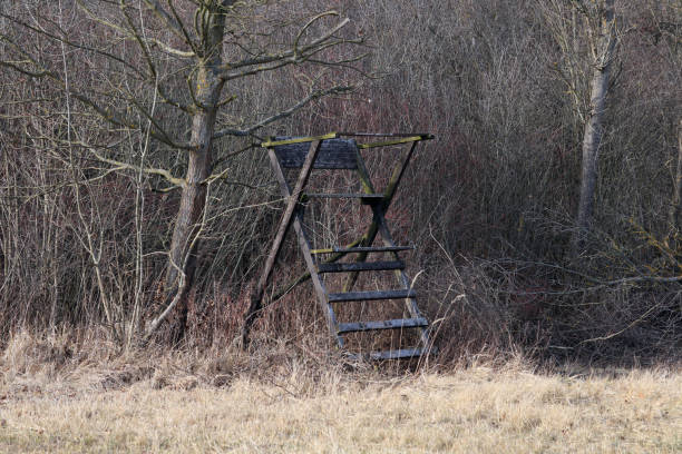 istock Old simple hunting pulpit. Tree stand, deer stand in the woods. 1207120997