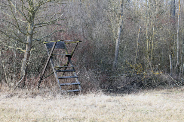 istock Old simple hunting pulpit. Tree stand, deer stand in the woods. 1207121081