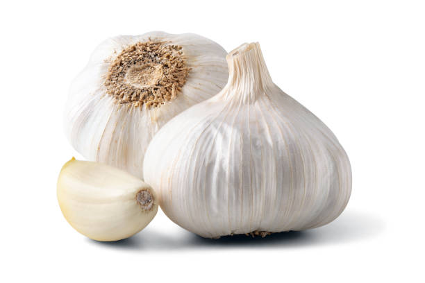 istock Whole garlic bulb isolated on white background. Minimal food concept. 1207122452