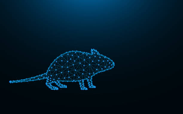 Graphical Mouse Backround 17,900+ Mouse Animal Background Stock Illustrations, Royalty-Free ...