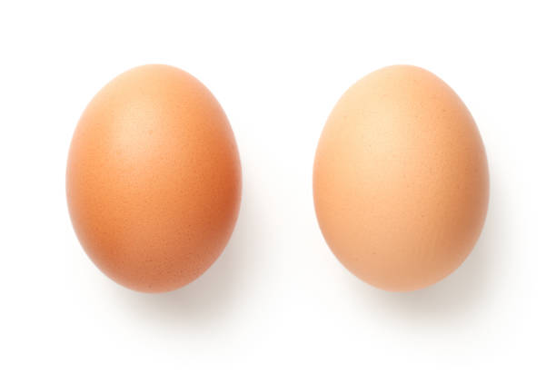 鶏卵 - 卵 ストックフォトと画像