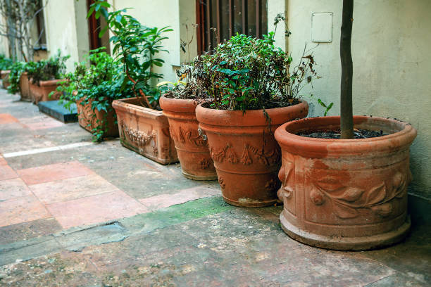 istock street flowerpots 1207132680