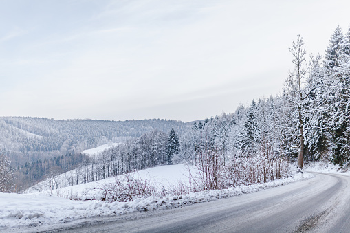 wide shot of snow-covered street and a view of the forest