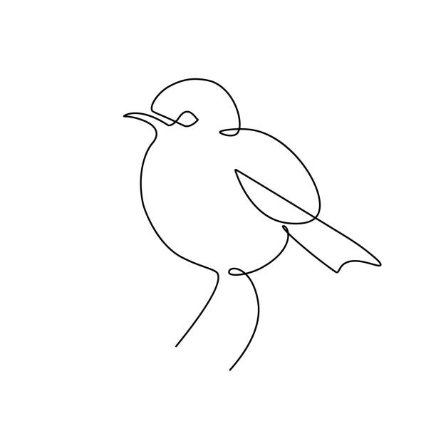 Small bird Sparrow bird in continuous line art drawing style. Minimalist black linear sketch isolated on white background. Vector illustration continuous line drawing bird stock illustrations