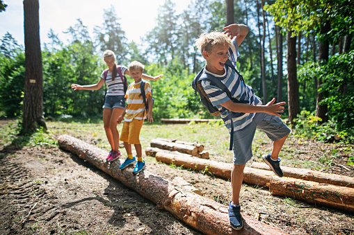 Happy kids hiking in a forest. Children are walking on a tree trunks, balancing with arms outstretched.\nBoys are aged 10 the girl is 13.\nNikon D850