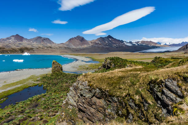 istock Fortuna Bay on South Georgia Island. 1207142871