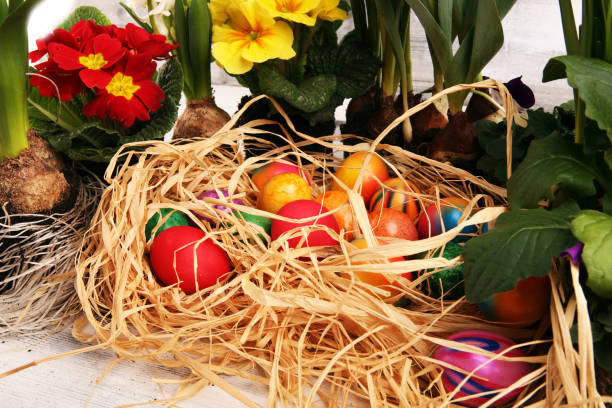 istock Easter eggs hiding in the grass with daffodil, tulips and other spring beautiful flowers 1207143896