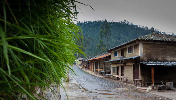 Road through south american village