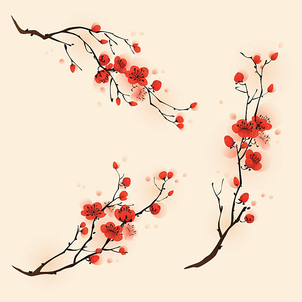 Oriental style painting, plum blossom in spring Plum blossom flowers in three different compositions. plum blossom stock illustrations