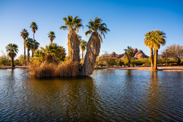 istock View of Papago Ponds 1207153299