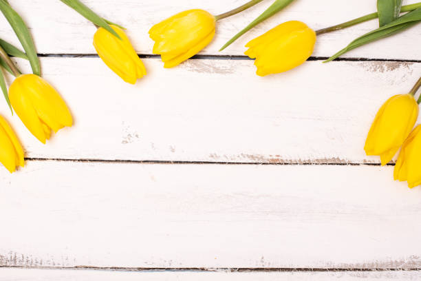 istock Yellow tulips bunch on white wooden planks rustic barn rural table background. Empty space for lettering, text, letters, inscription. Beautiful horizontal flat lay postcard template. 1207154146