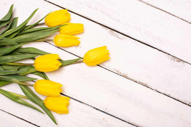 istock Yellow tulips bunch on white wooden planks rustic barn rural table background. Empty space for lettering, text, letters, inscription. Beautiful horizontal flat lay postcard template. 1207154148