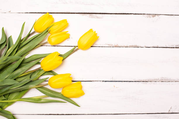 istock Yellow tulips bunch on white wooden planks rustic barn rural table background. Empty space for lettering, text, letters, inscription. Beautiful horizontal flat lay postcard template. 1207154161