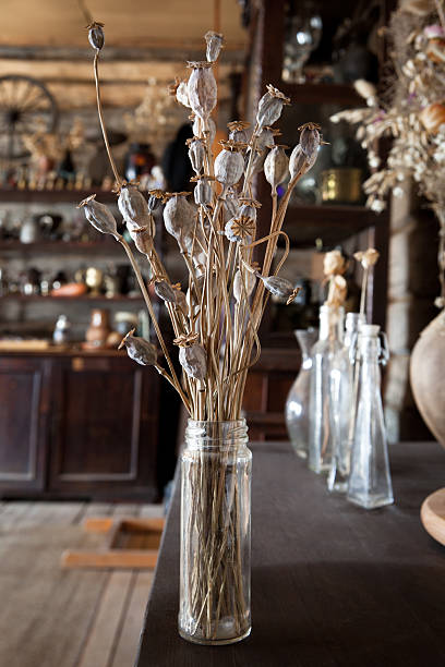 istock bouquet of dried poppies 120715610
