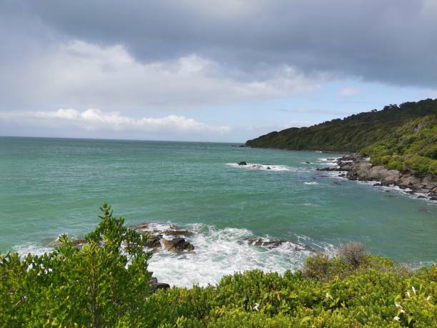 istock Moody Bluff outlook 1207156174