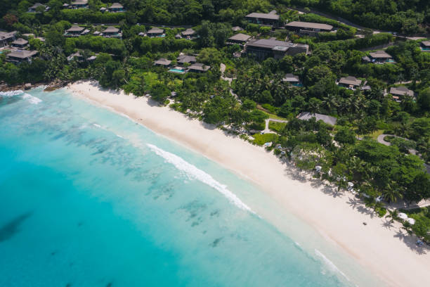 istock Aerial Drone beach view in Seychelles 1207158540