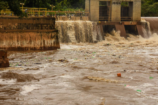 istock dam full of floating garbage on filthy water 1207159136