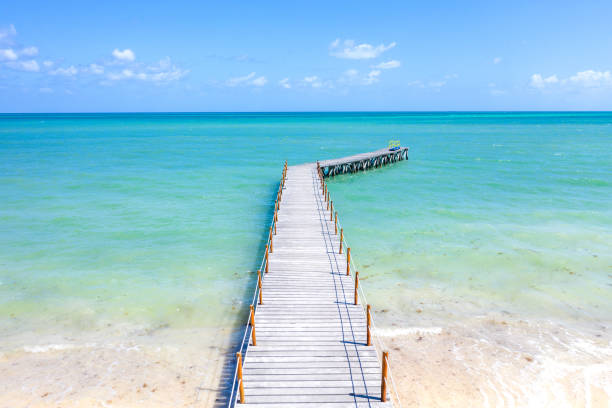Paradise wooden beach path from a top aerial view stock photo