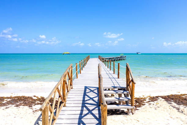 istock Paradise wooden beach path from a top aerial view 1207163619