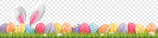 ilustraciones, imágenes clip art, dibujos animados e iconos de stock de orejas de conejo de pascua con huevos de pascua en la pradera con flores bandera de fondo transparente - easter background
