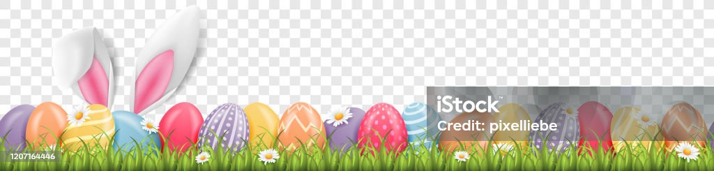 Пасхальный кролик уши с пасхальными яйцами на лугу с цветами фон баннер прозрачный - Векторная графика Пасха роялти-фри