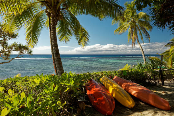 tropical island holiday, a beach with palm trees on the south pacific island of tonga. - south pacific ocean island polynesia tropical climate imagens e fotografias de stock