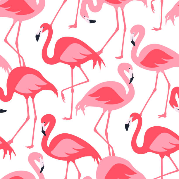 illustrations, cliparts, dessins animés et icônes de modèle sans couture de vecteur avec des flamants roses - flamingo bird isolated animal leg