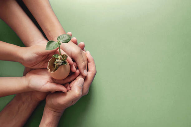 istock hands holding seedling in eggshells, montessori education , CSR Corporate social responsibility, Eco green sustainable living concept,zero waste, plastic free,world food day, responsible comsumption 1207168906