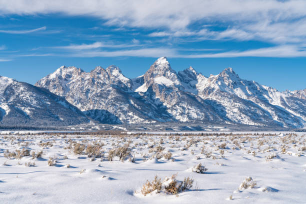 istock Winter in the Tetons 1207173298