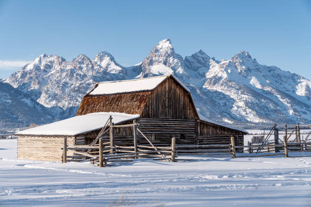 istock Winter in the Tetons 1207174160