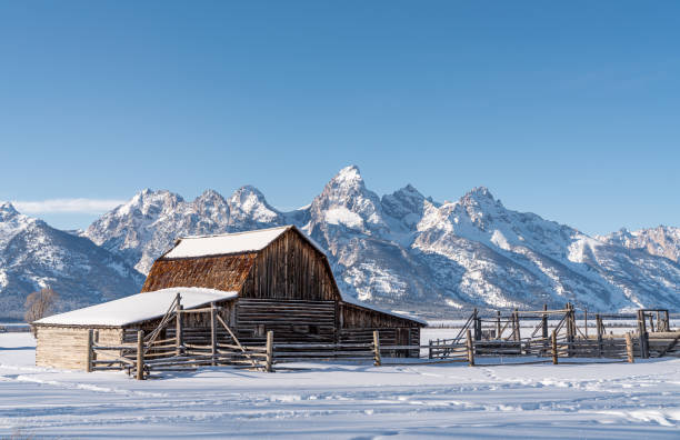 winter in den tetons - jackson hole stock-fotos und bilder