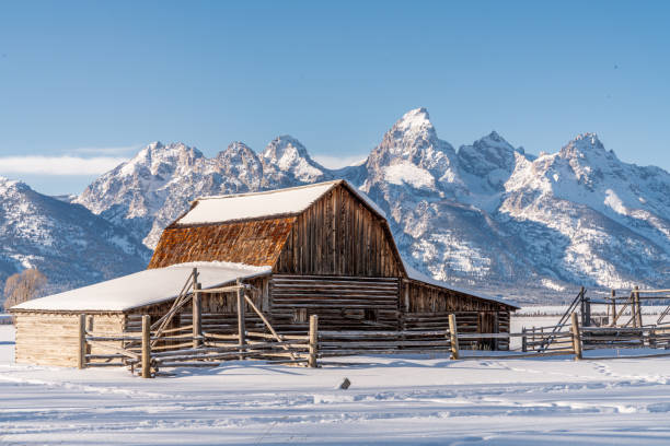 istock Winter in the Tetons 1207174362