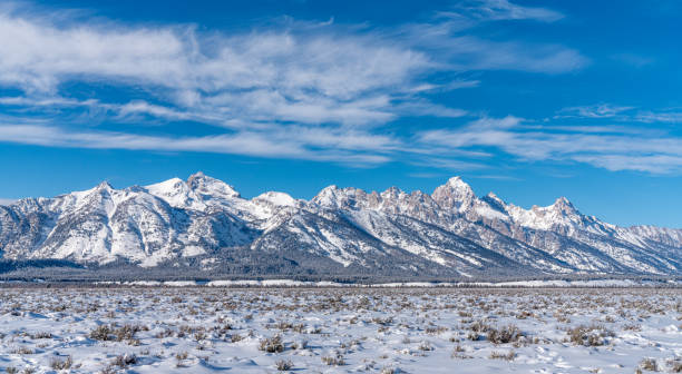 istock Winter in the Tetons 1207174976