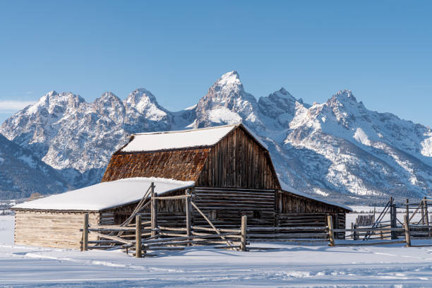 istock Winter in the Tetons 1207175061