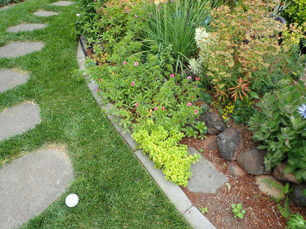 istock green grass and plants and flowers with stepping stones 1207176814