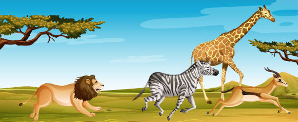 istock Group of wild african animals running in the savannah field 1207179436