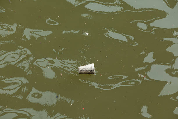istock Styrofoam Cup in Dirty Water 120718172